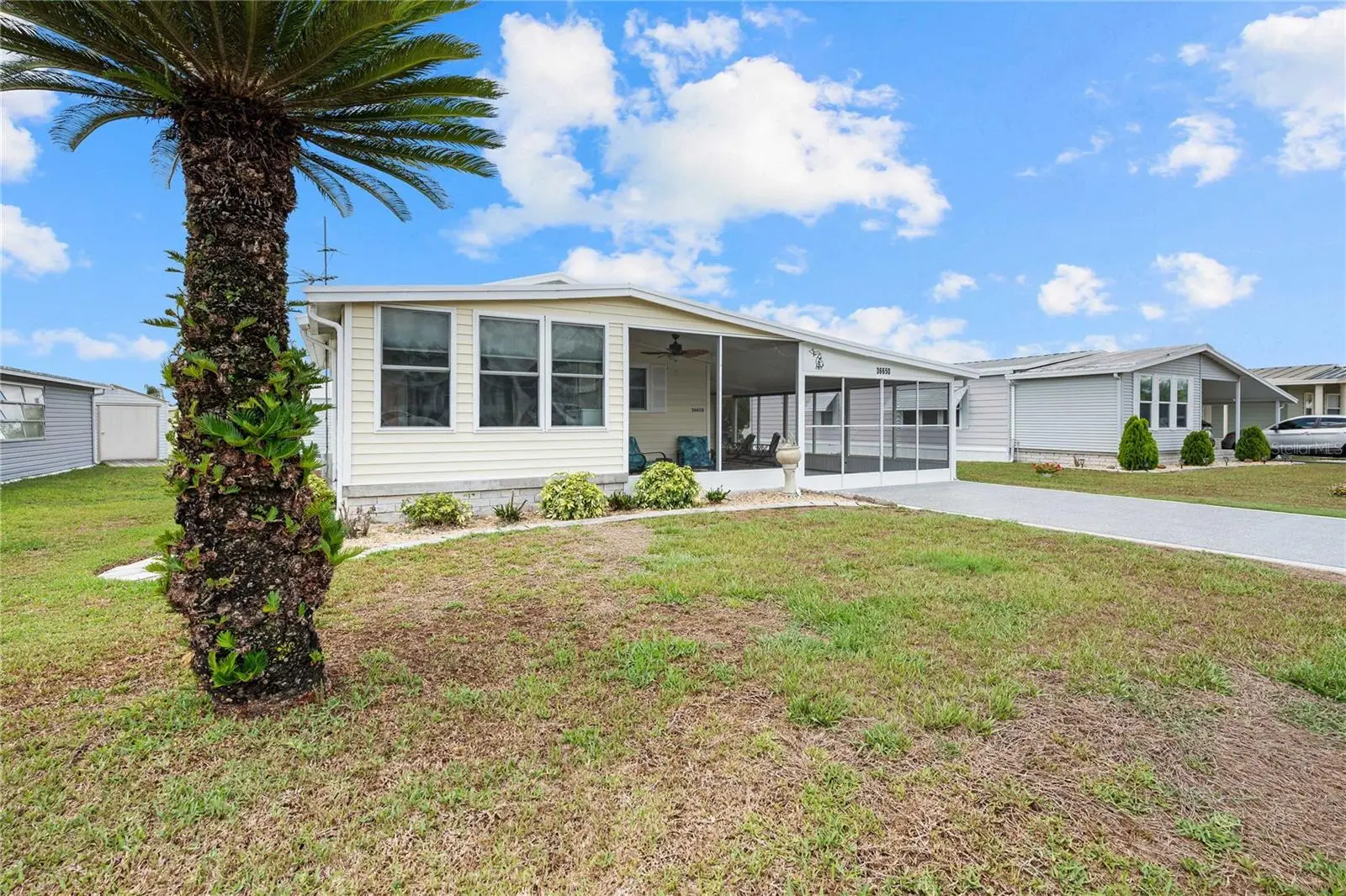 36650 Dina Drive, FL