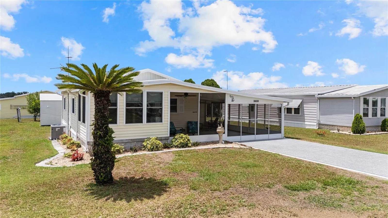 36650 Dina Drive, FL