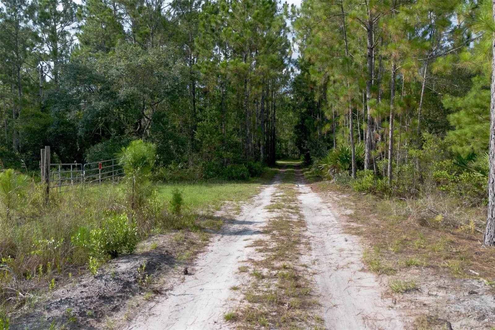 826 Frontier Trail, FL