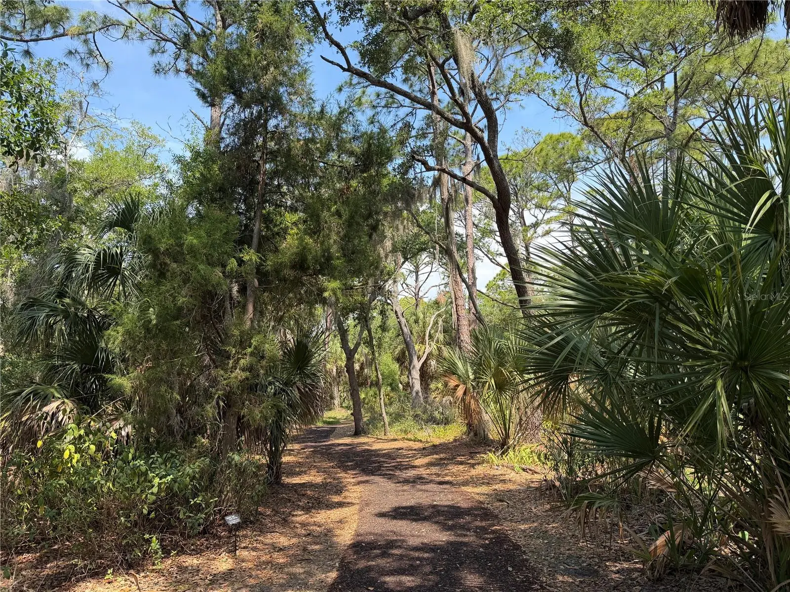 Lot 8 & 9 Nutmeg Avenue, FL