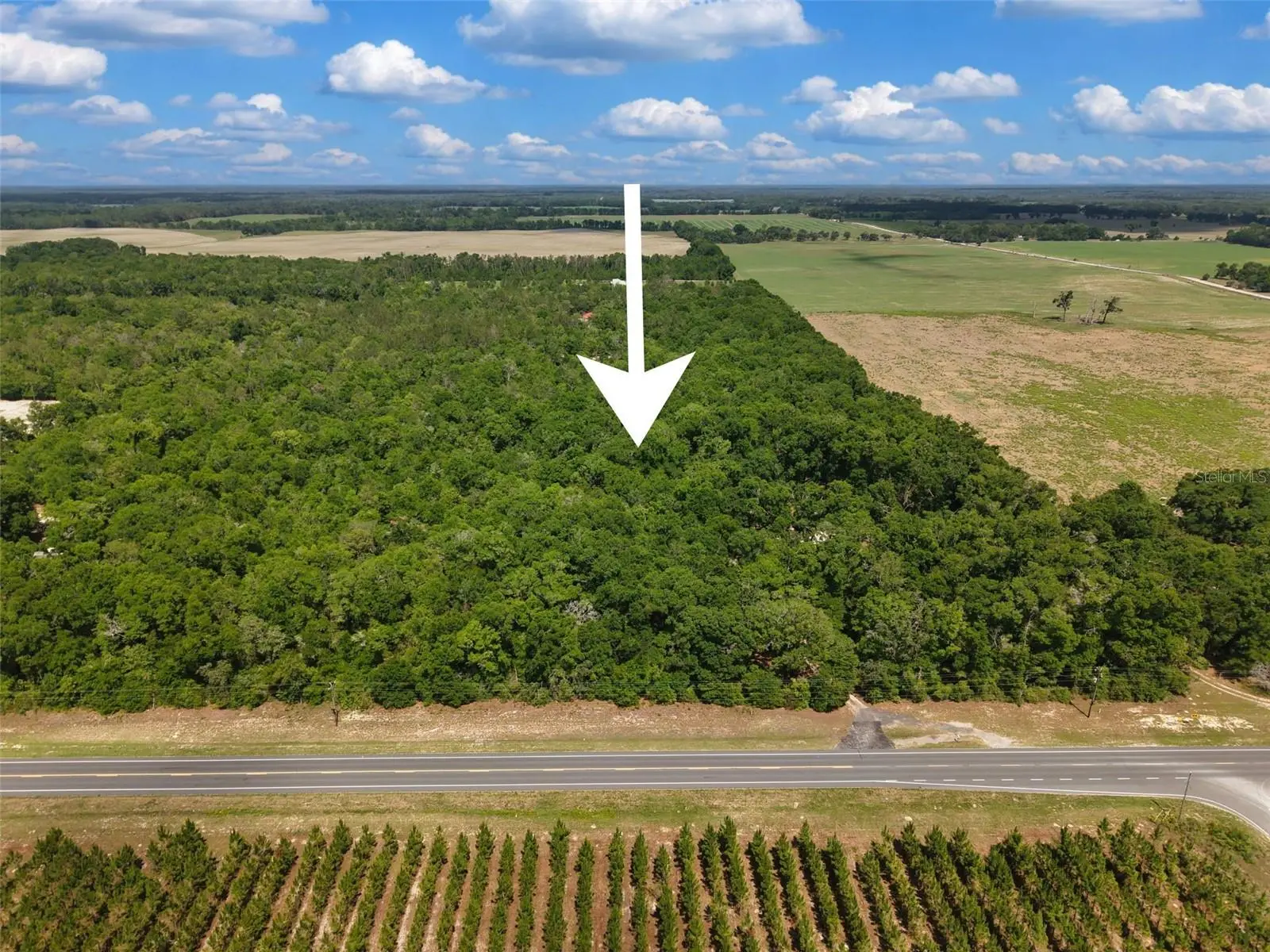 Lot 3 State Rd 129, FL