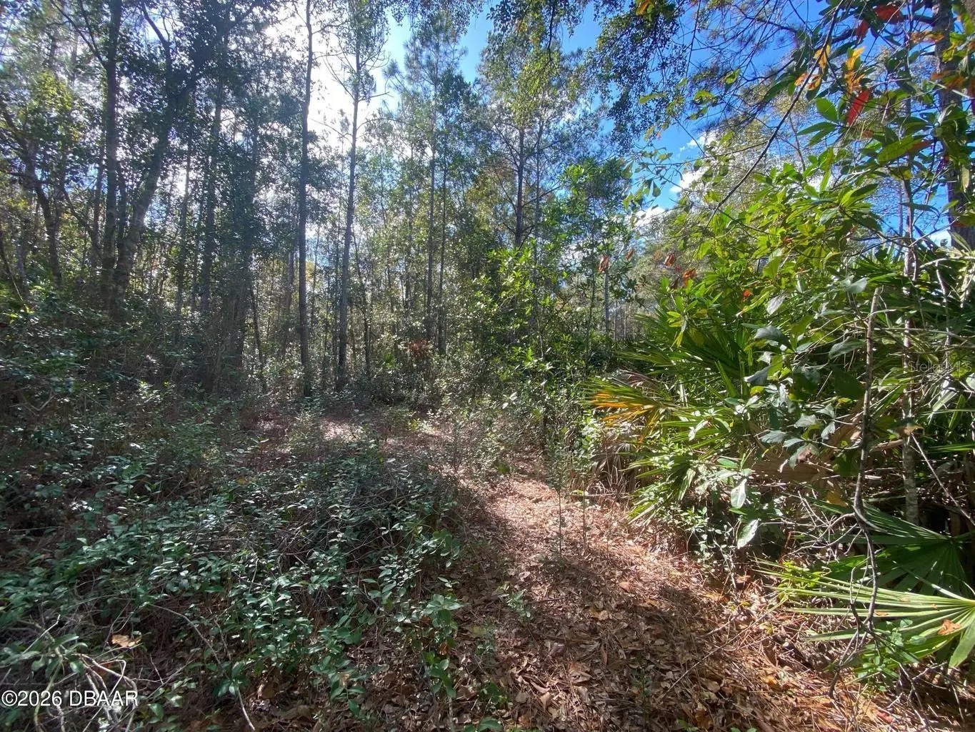 820 Old Bubbly Road, FL
