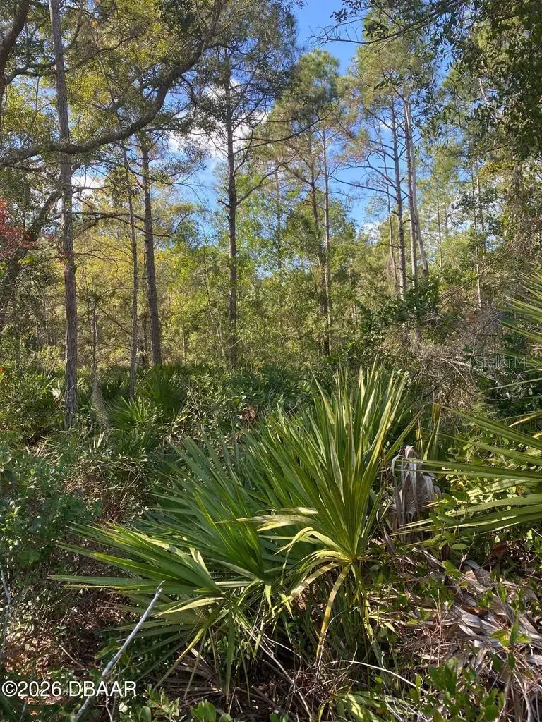 820 Old Bubbly Road, FL