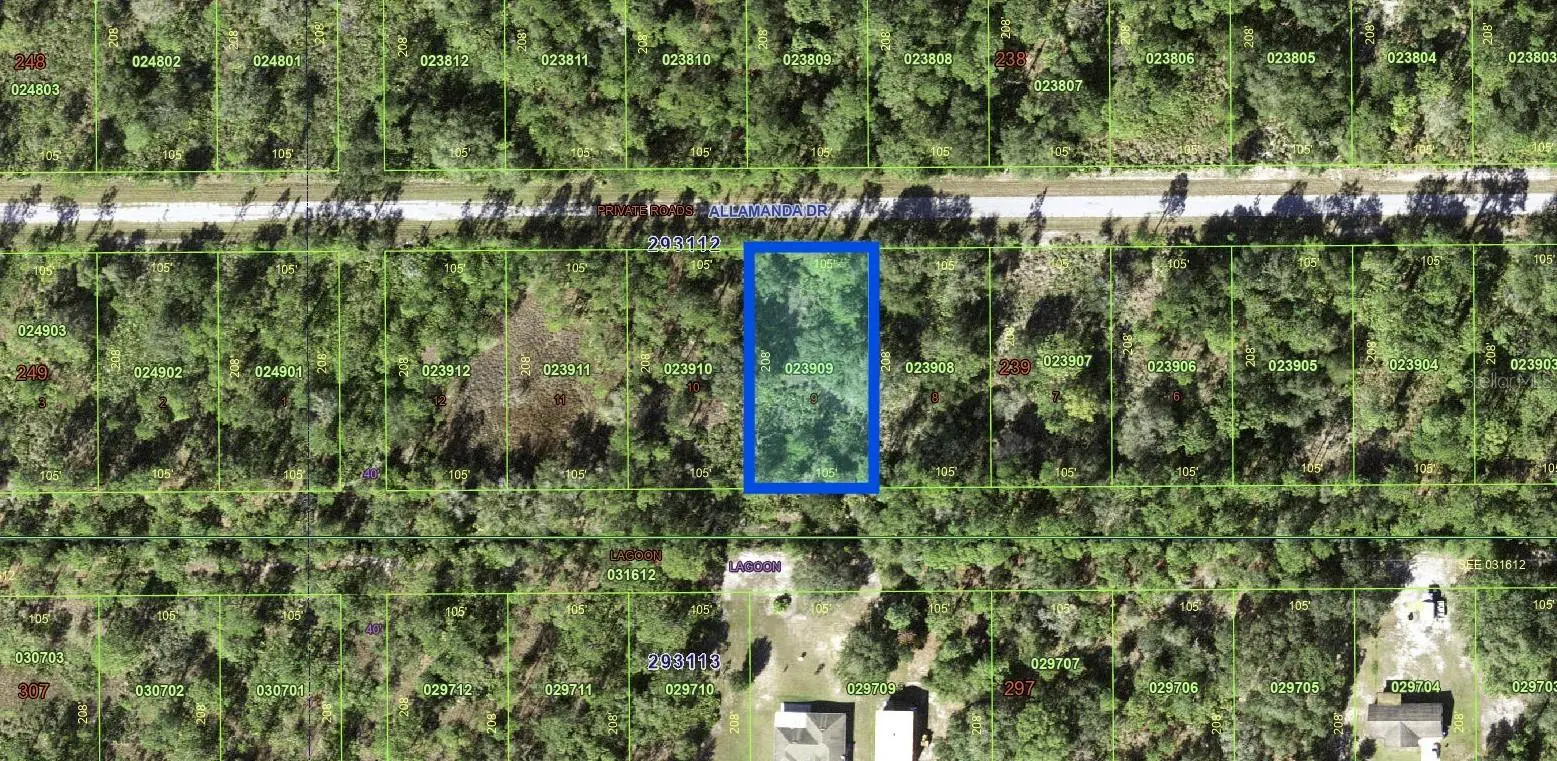 Allamanda Drive, FL