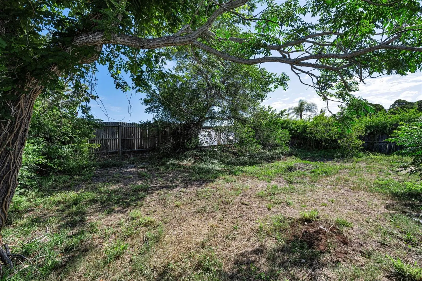 3541 Bigelow Drive, FL
