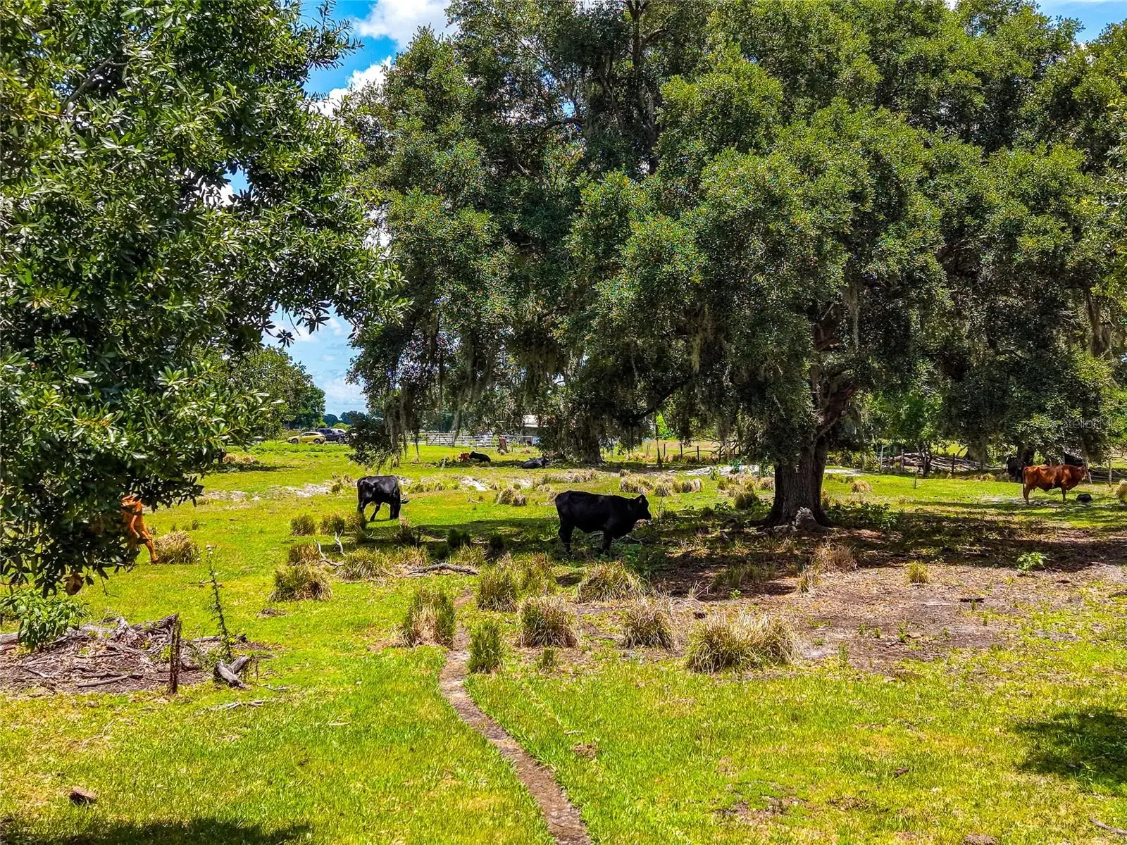 3030 Nursery Road, FL