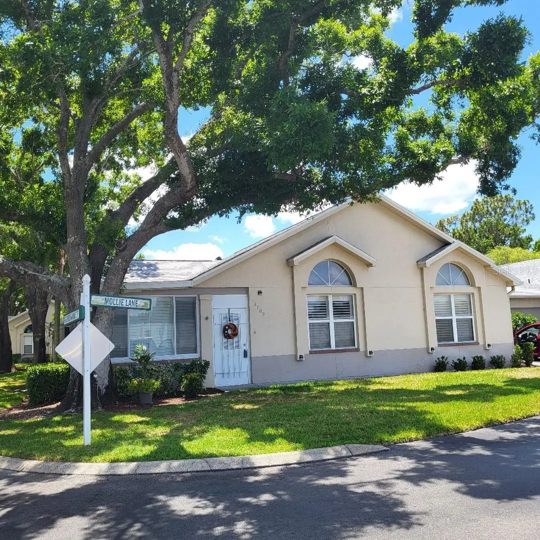 3709 Mollie Lane, FL