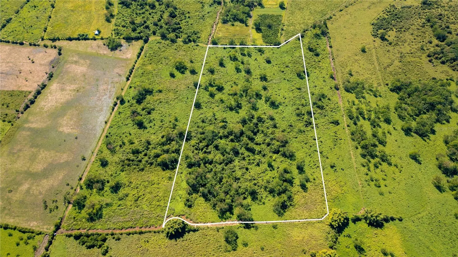 2 Km 162 Benavente Road, PR