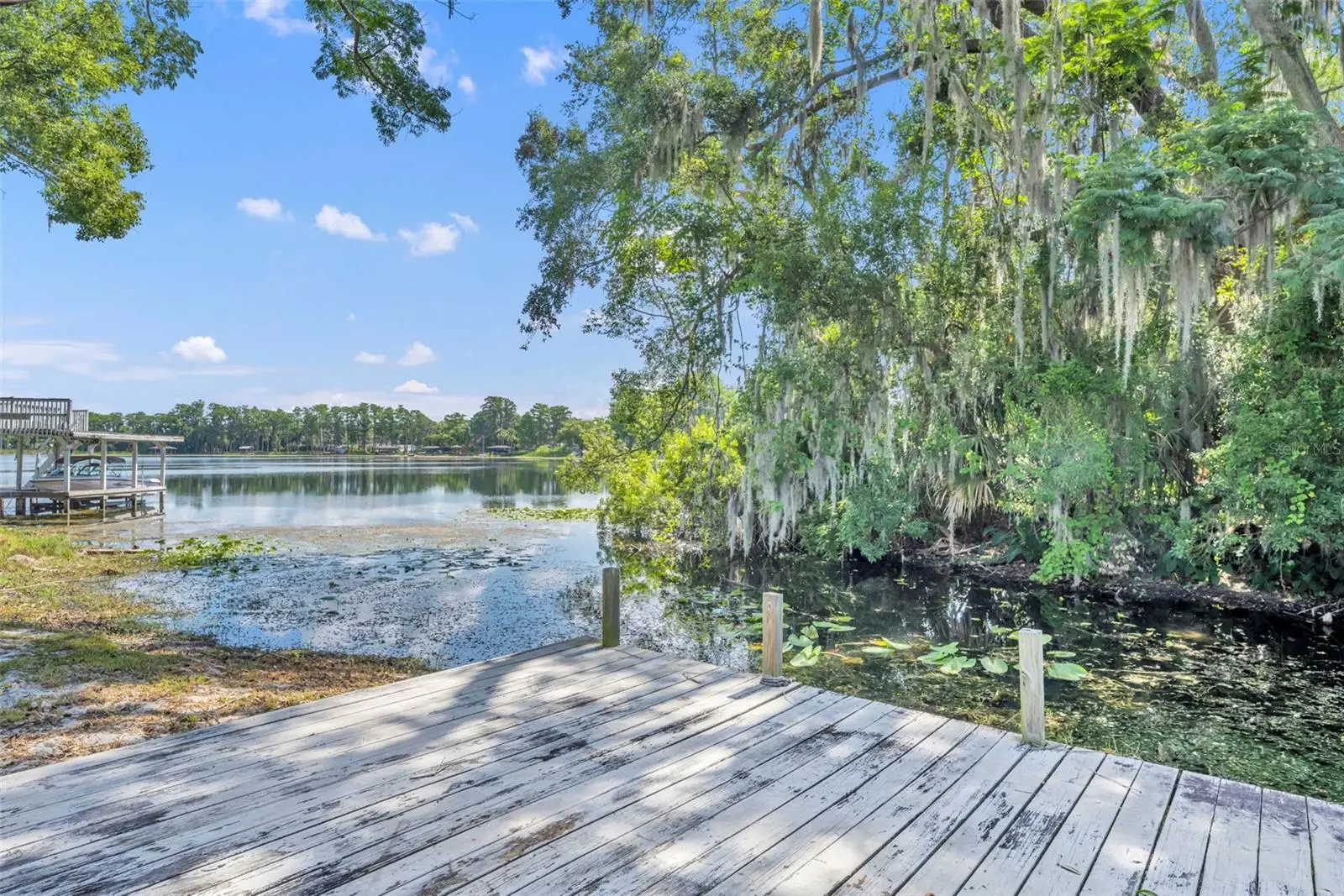 1009 Lake Bell Drive, FL