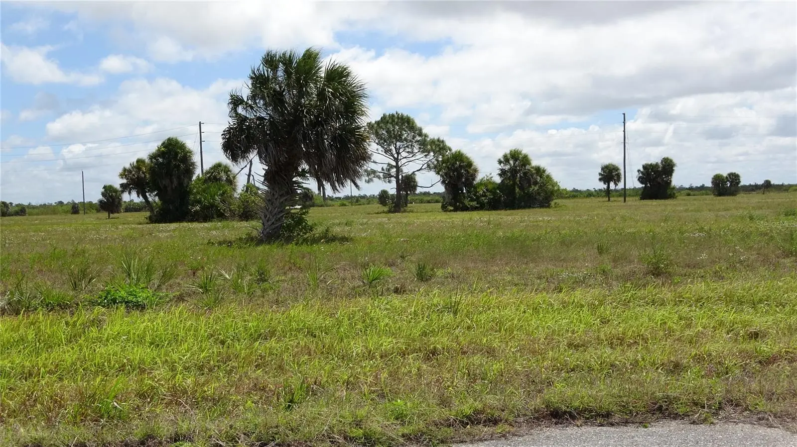 PLACIDA, FL