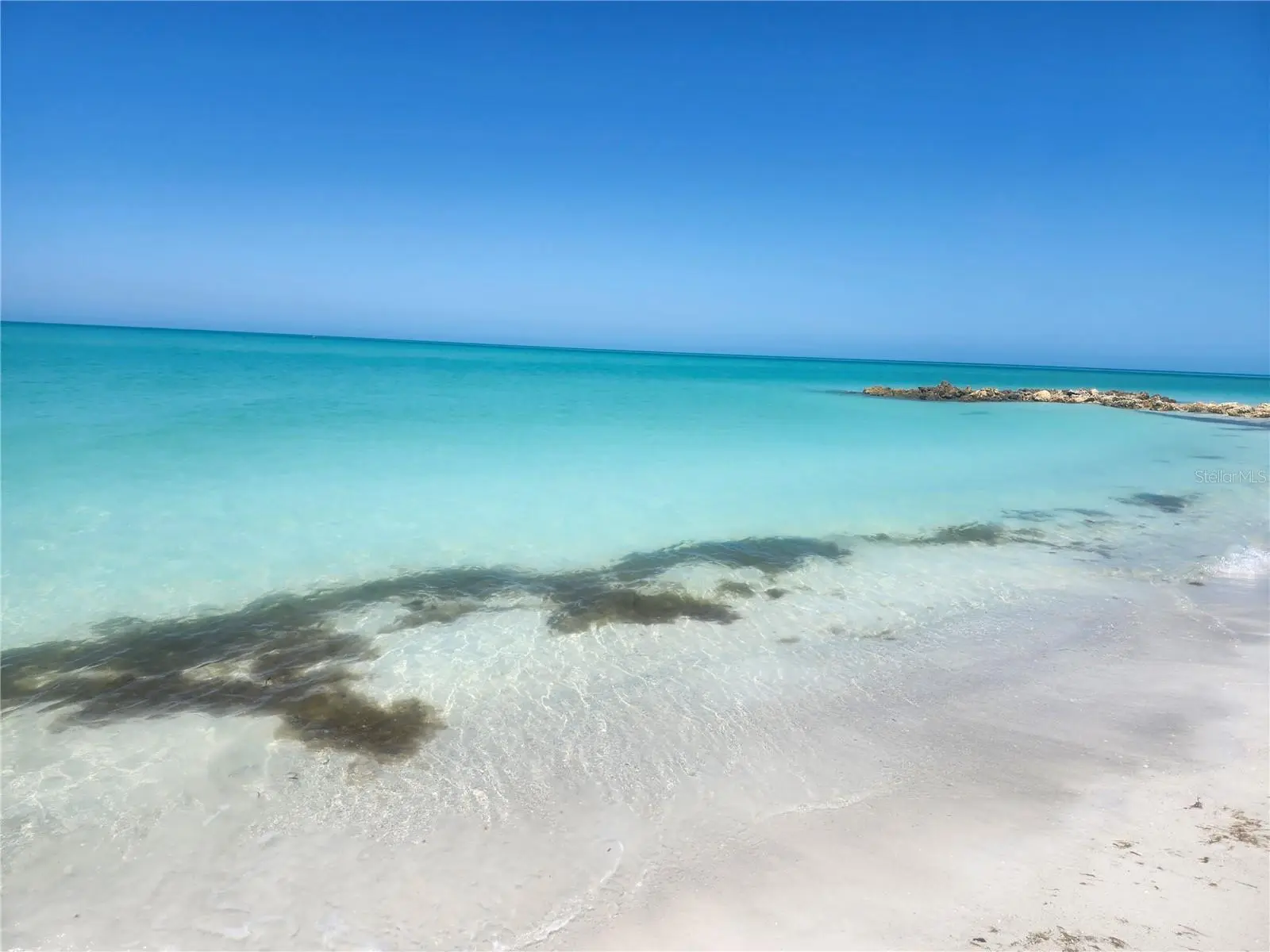 3973 Lake Bayshore Drive, FL