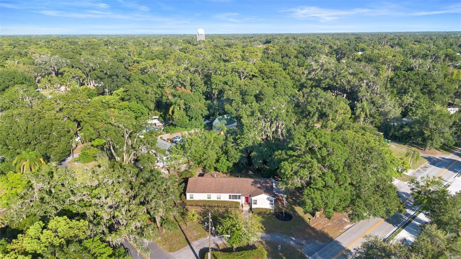 611 Garfield Avenue, FL