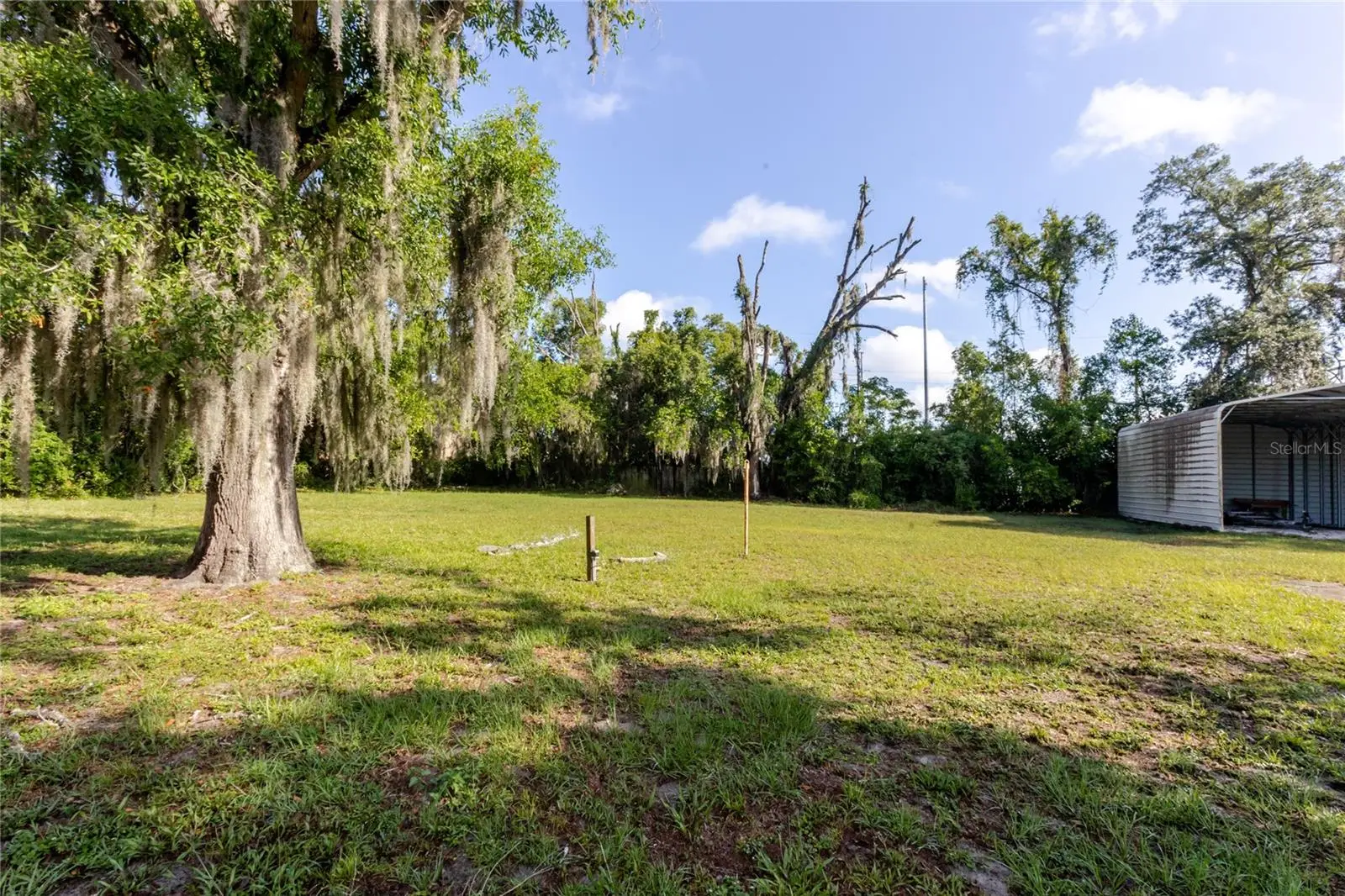 13203 Blissfield, FL