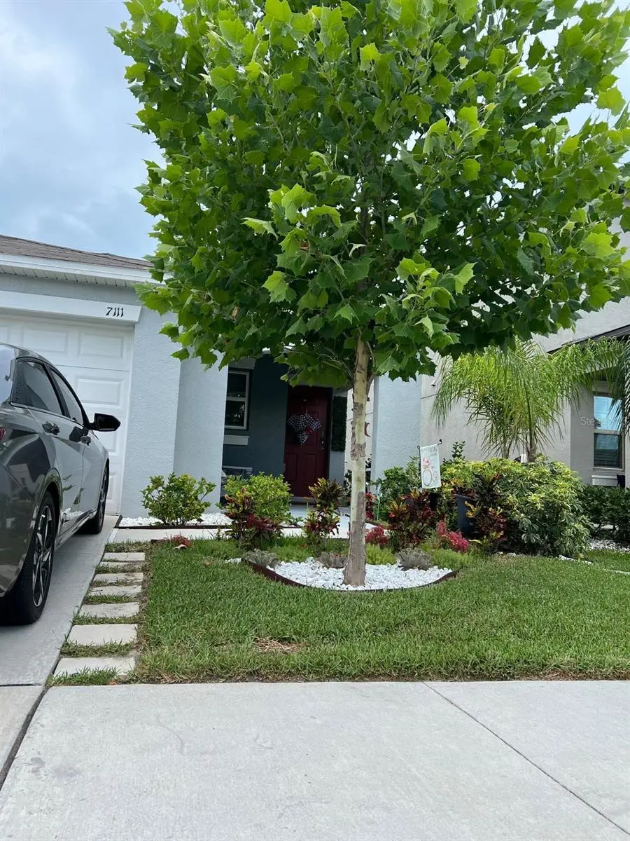7111 Amelia Cove Court, FL