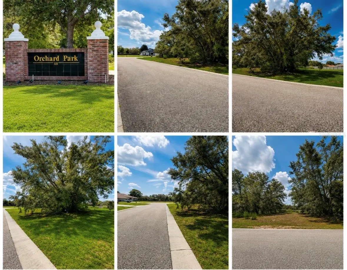 9925 Reindeer Court, FL