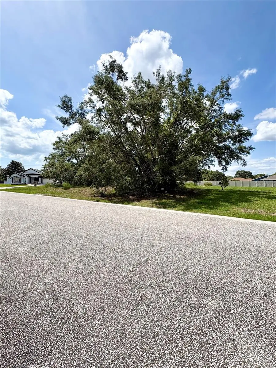 9925 Reindeer Court, FL