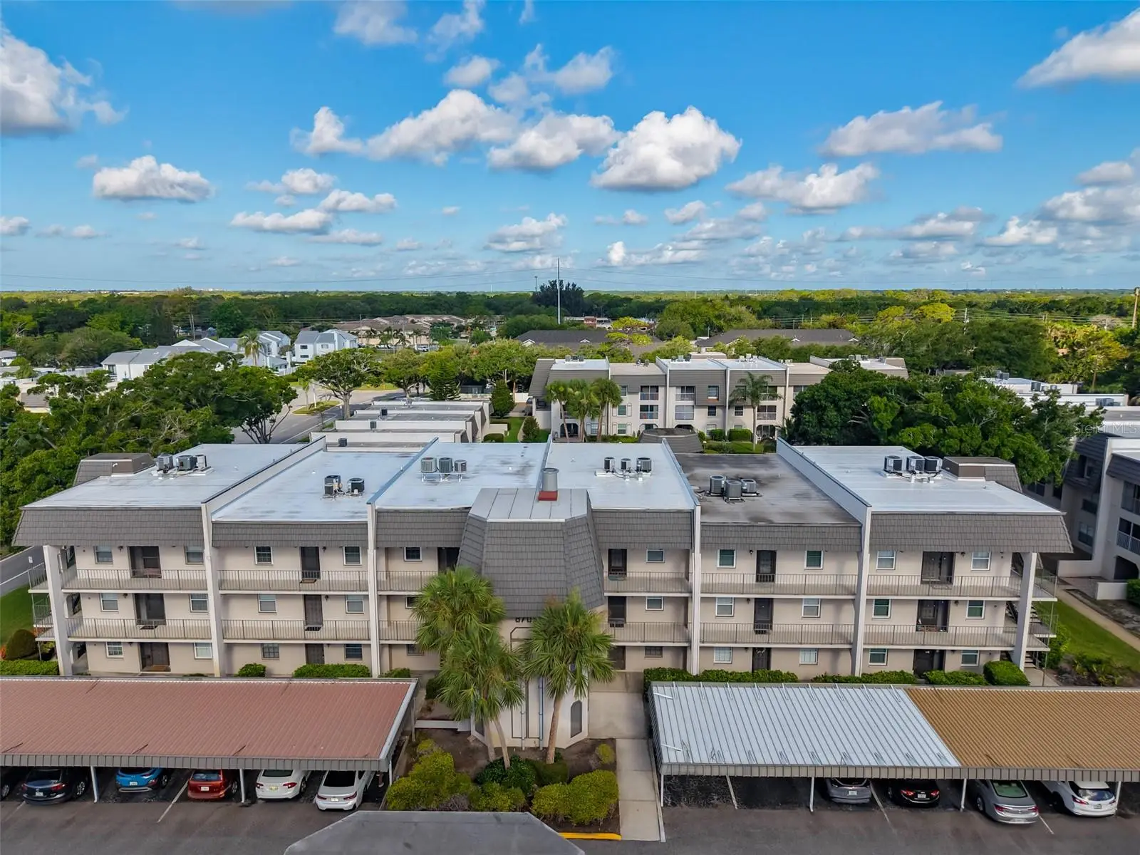 8703 Bardmoor Boulevard, FL
