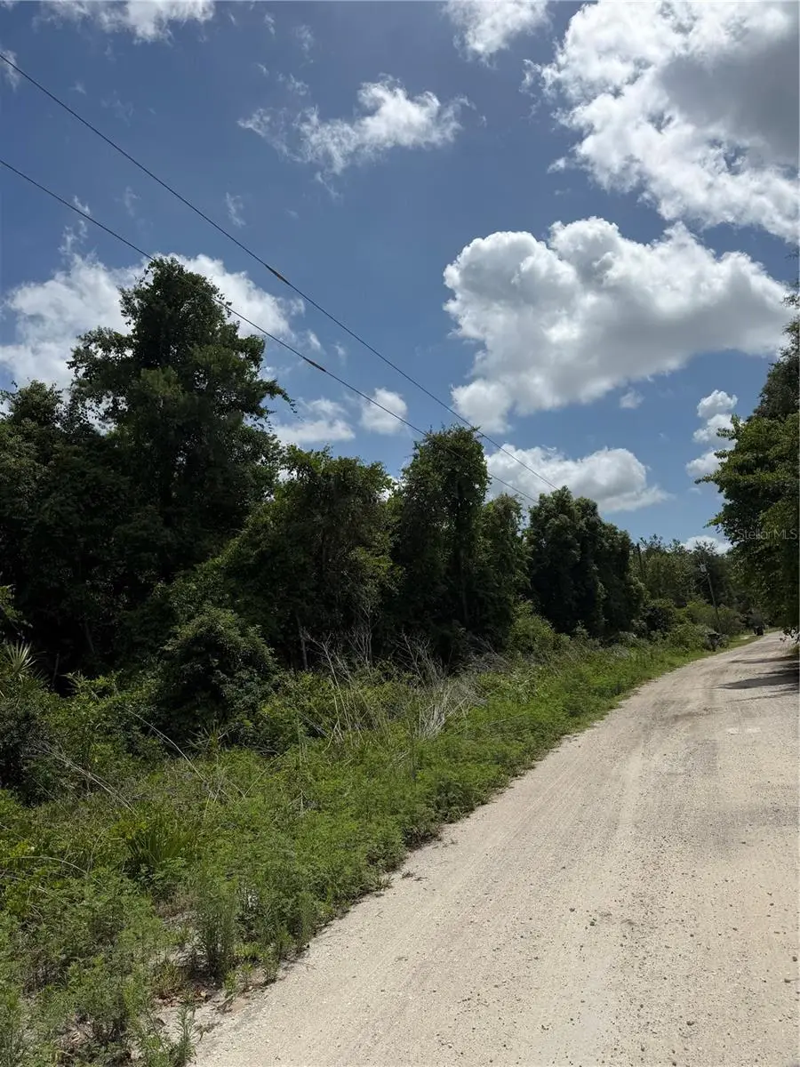 Palmetto Circle, FL