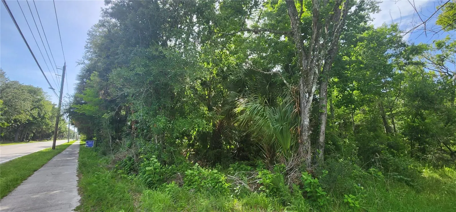 4060 Aurantia Road, FL