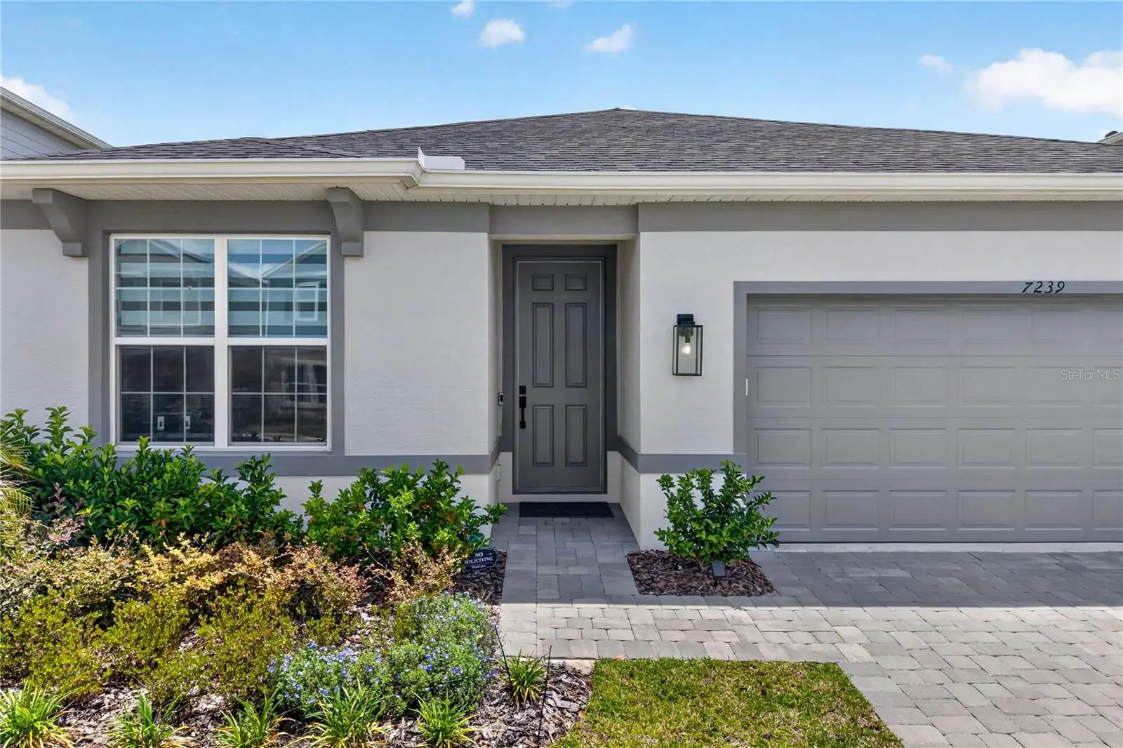 7239 Ivy Tendril Avenue, FL