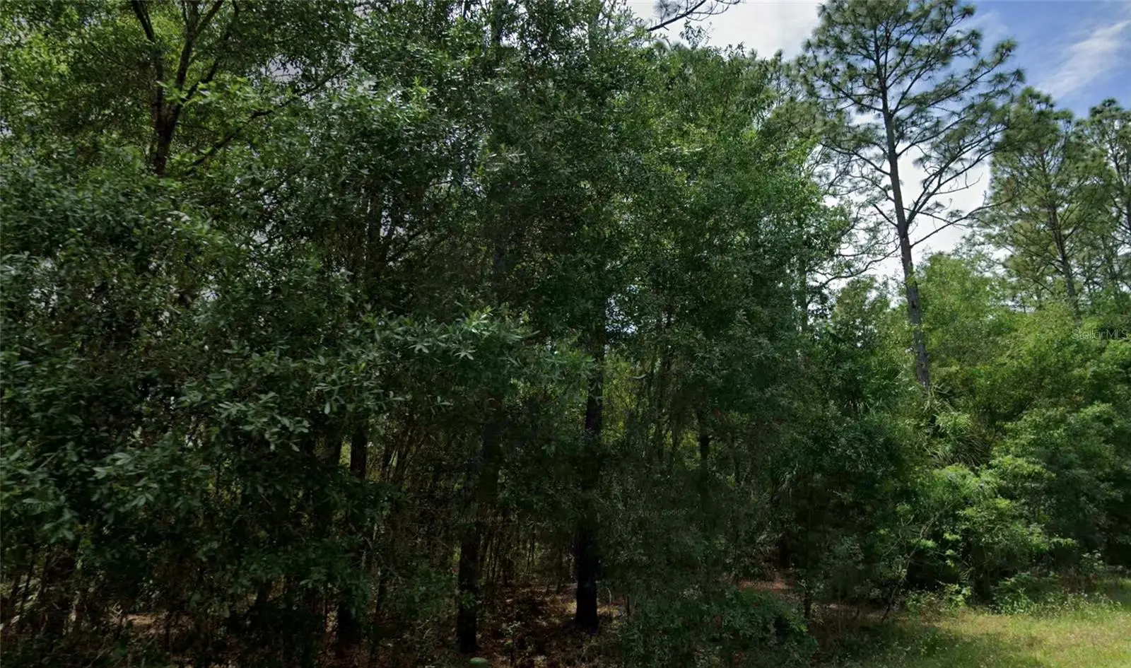 864 Bannister Drive, FL