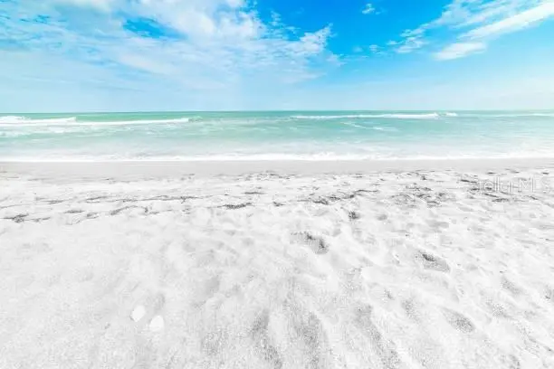5673 Midnight Pass Road, FL