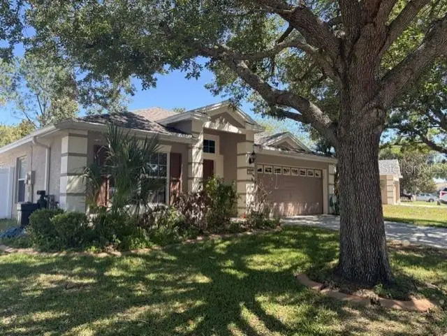409 Sea Holly Drive, FL