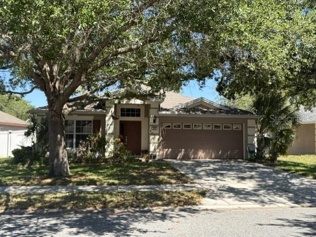 409 Sea Holly Drive, FL