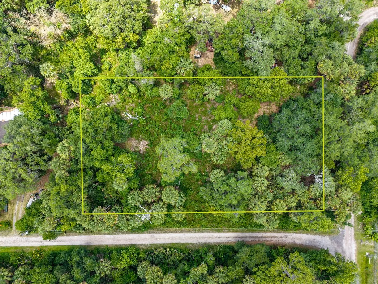 Swamp Lane, FL