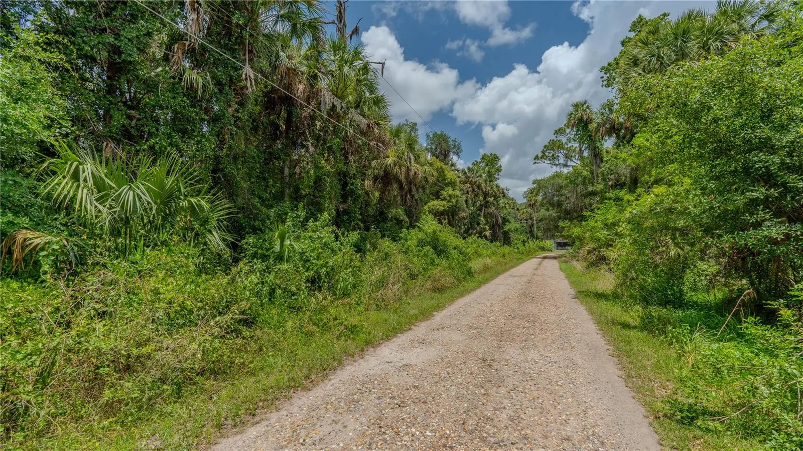 Swamp Lane, FL