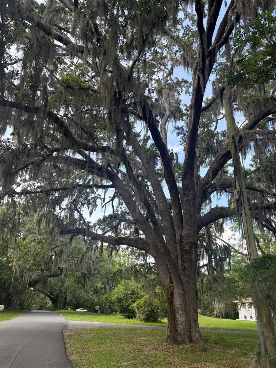 Mildred Avenue, FL