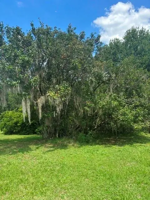 Mildred Avenue, FL