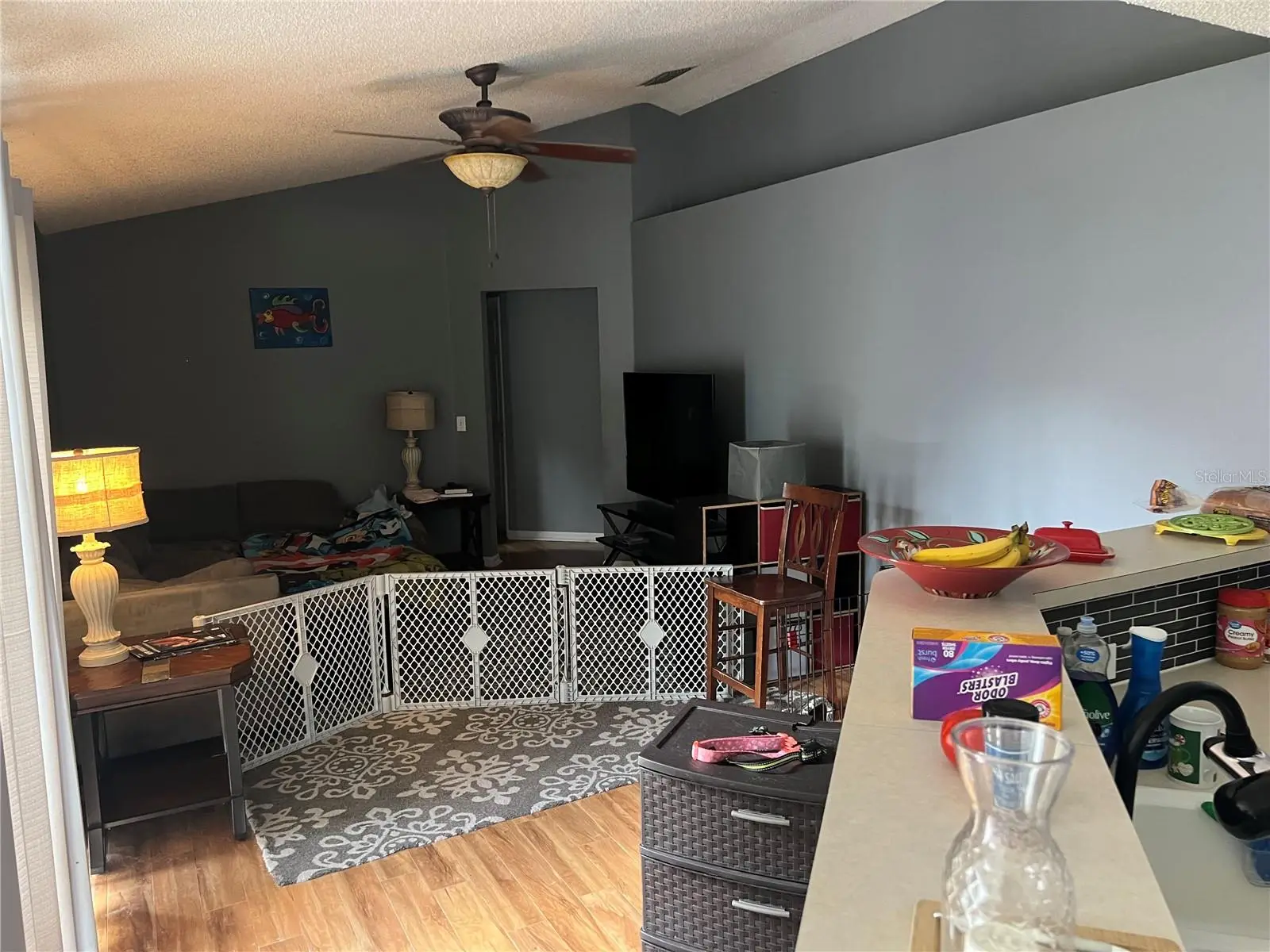 69 Raemoor Drive, FL
