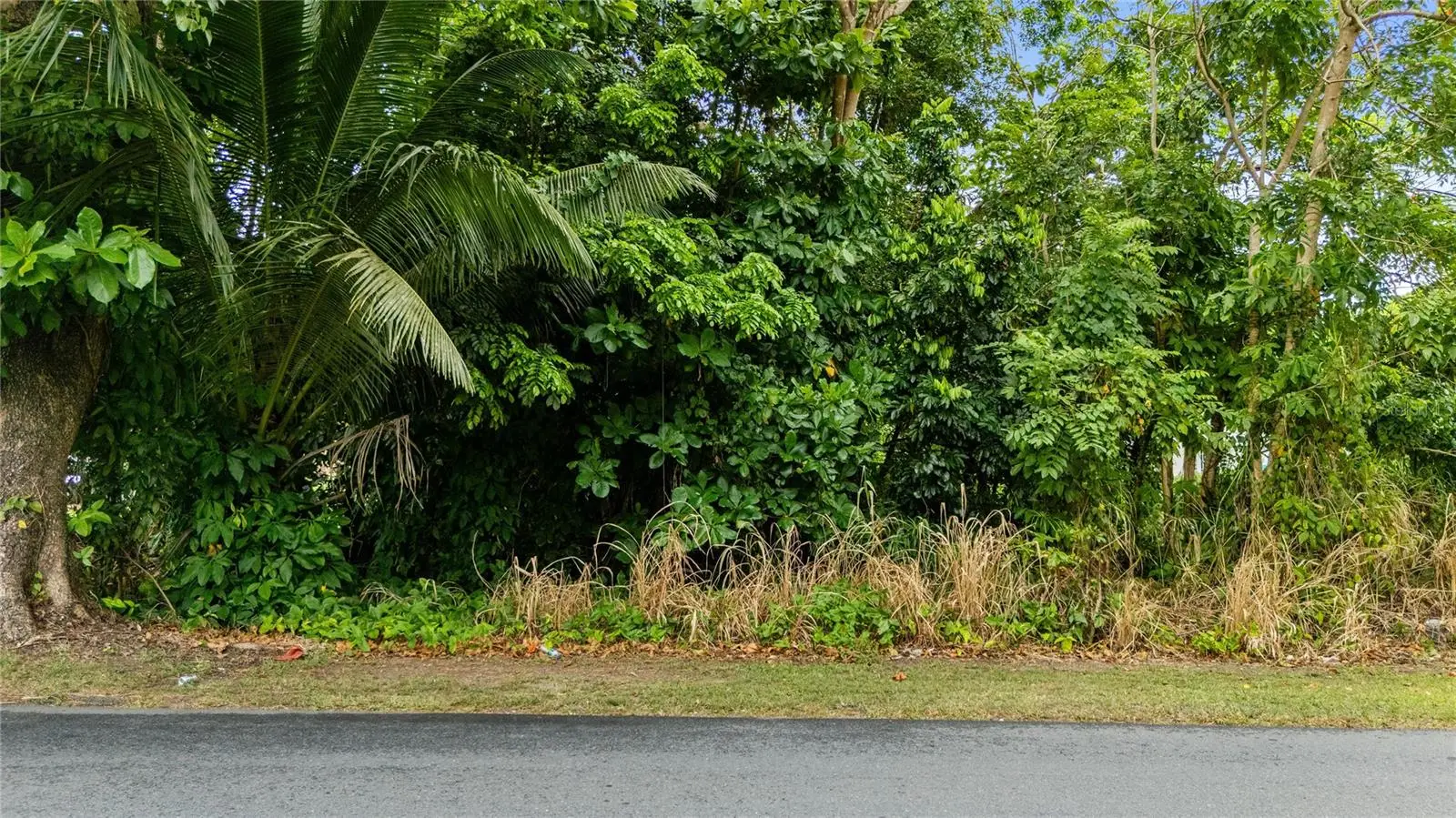 6685 Estatal Road, PR