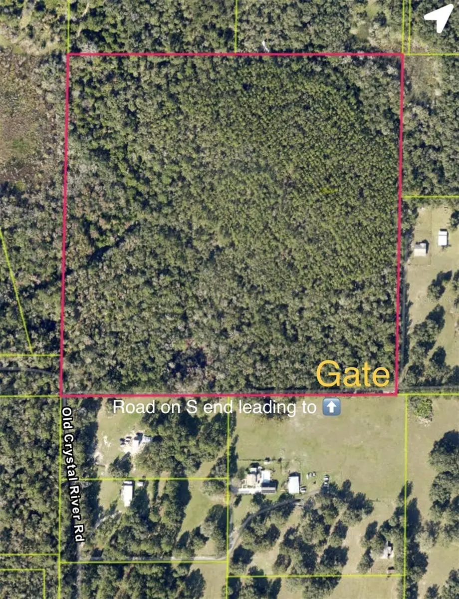 Old Crystal River Road, FL