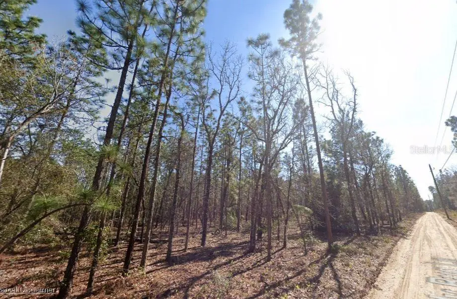 Hills Road, FL