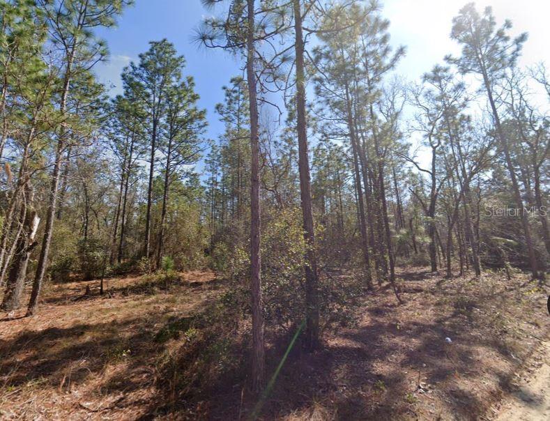 Hills Road, FL