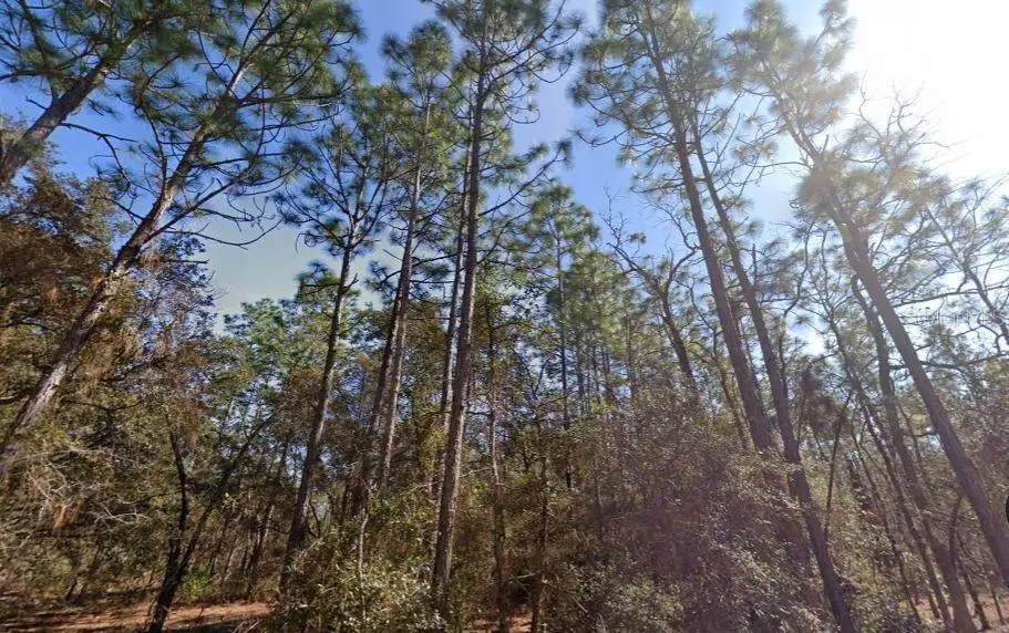 Hills Road, FL