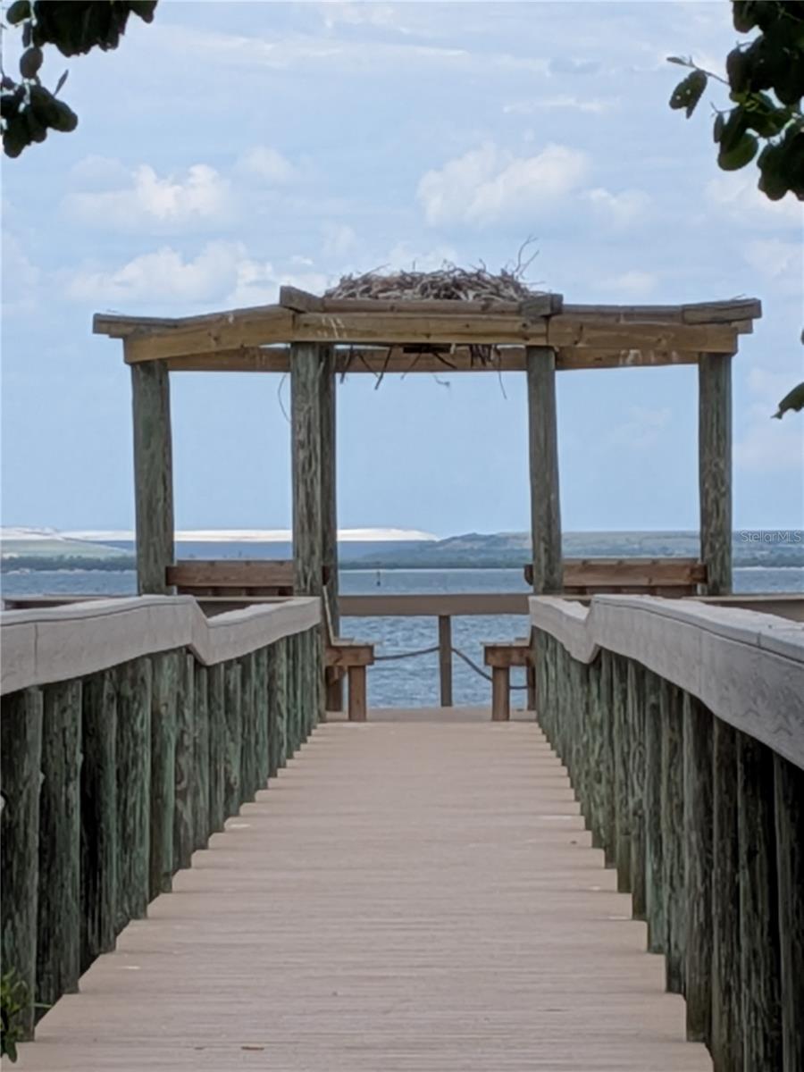 2889 Bayshore Trails Drive, FL