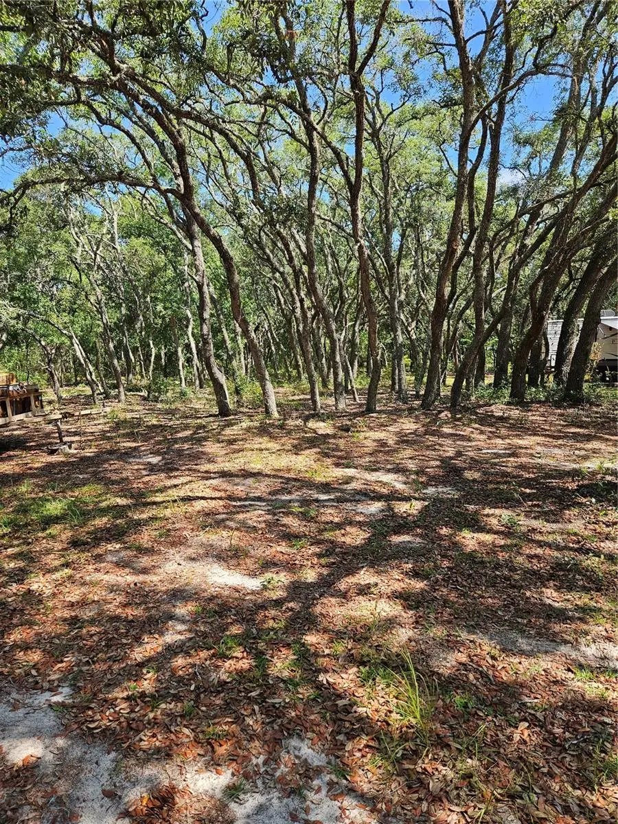 4300 Roadrunner Court, FL
