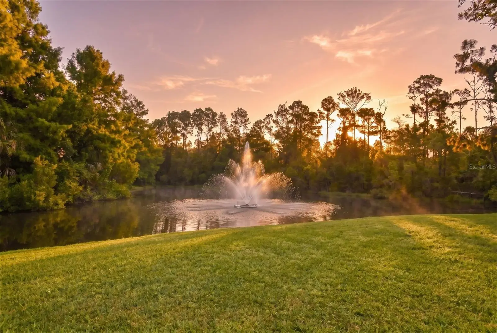 114 Shadowcreek Way, FL