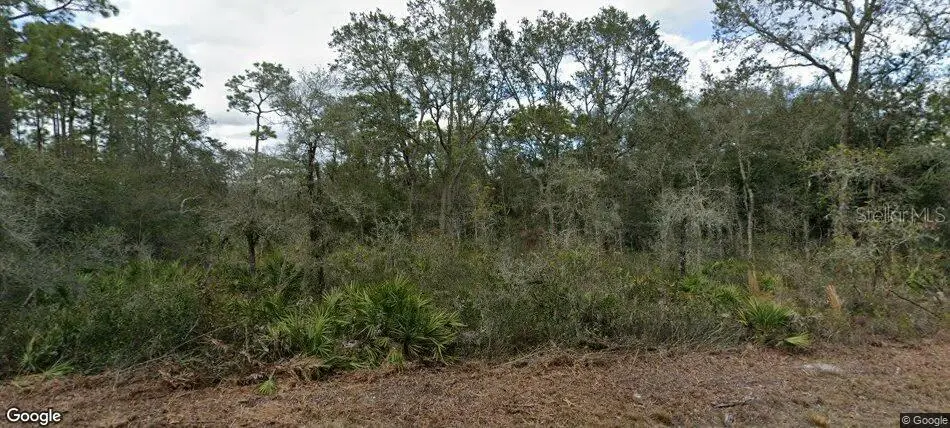 35023 Primrose Lane, FL