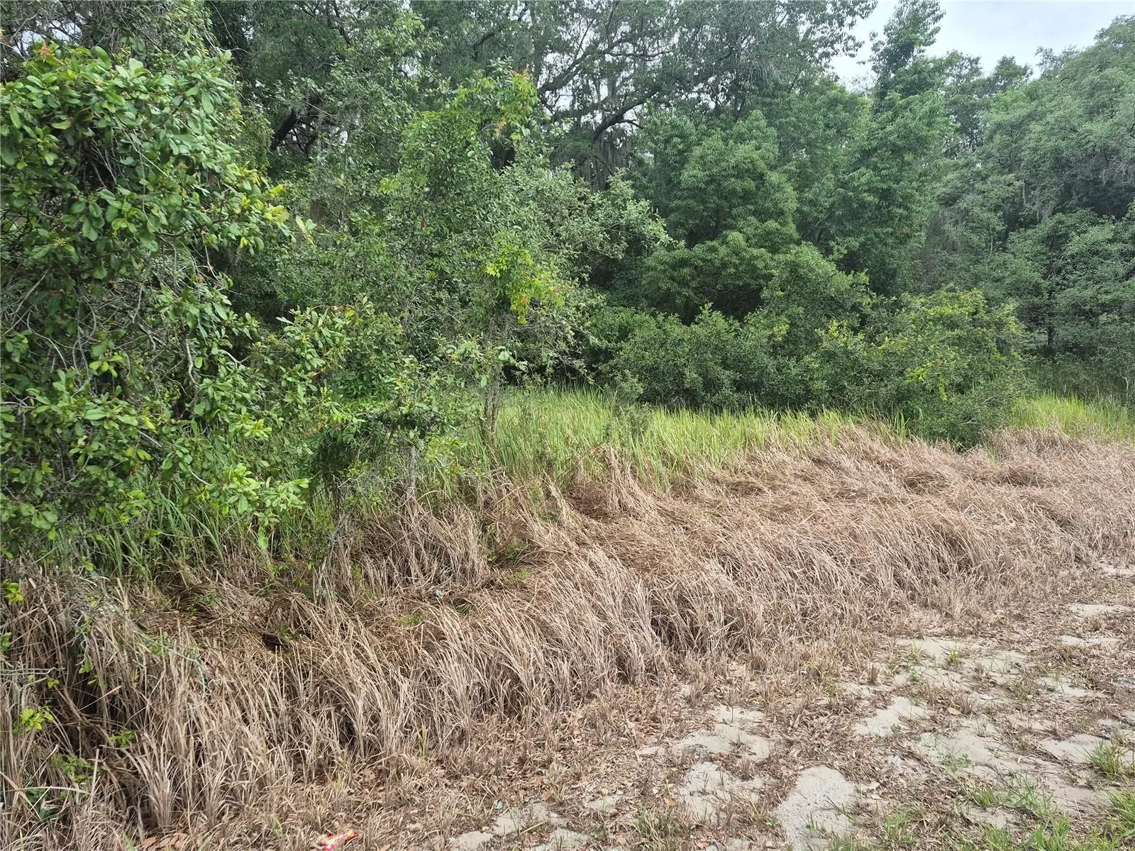 1626 Us 301, FL