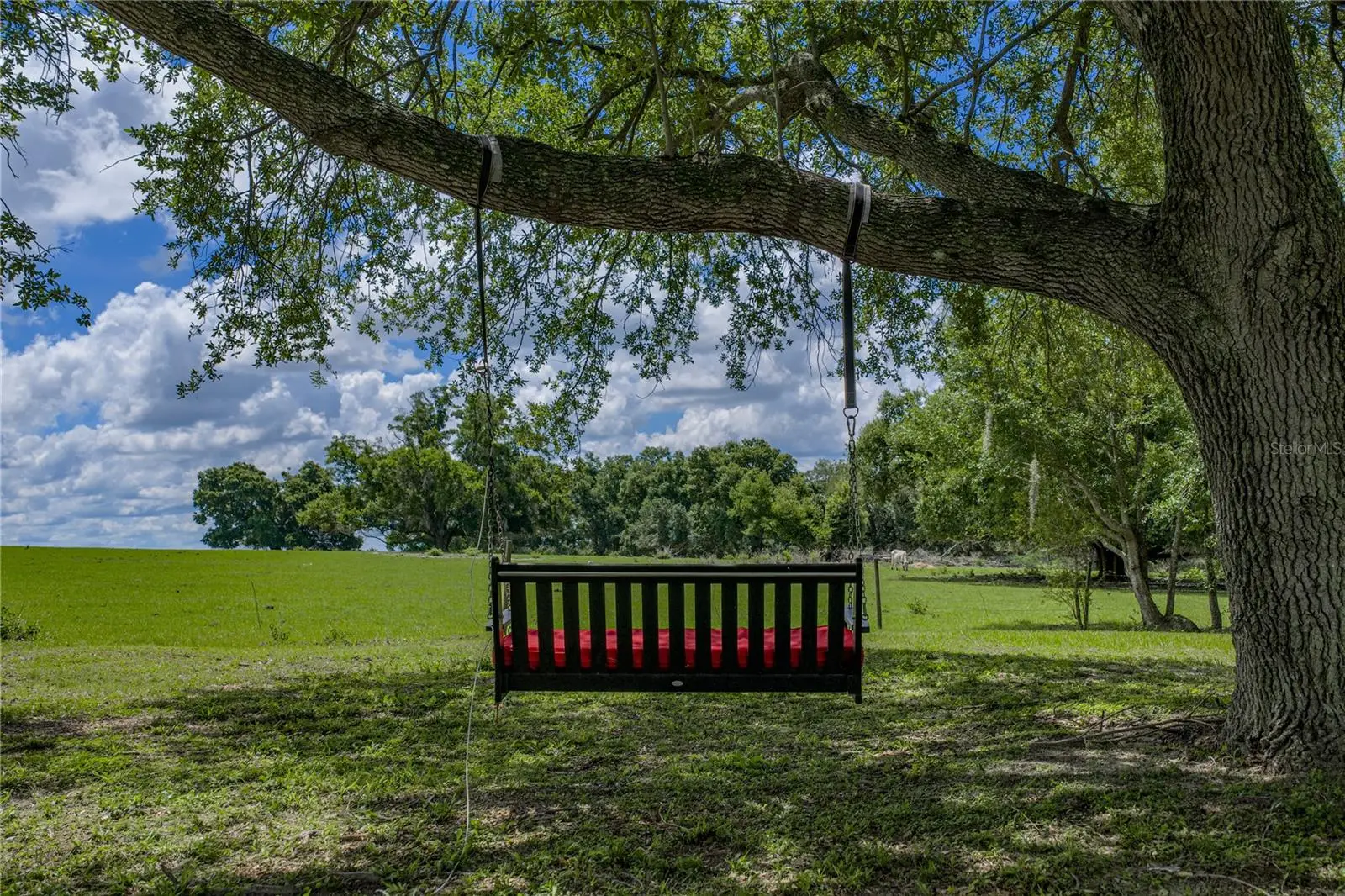 37624 Sky Ridge Circle, FL