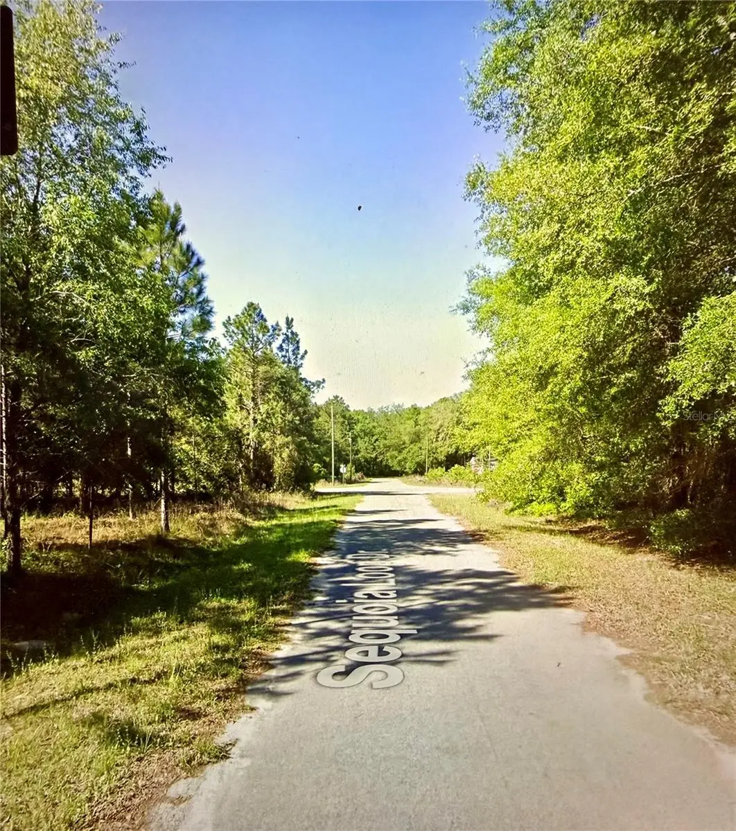 Lot 39 Sequoia Loop Drive, FL