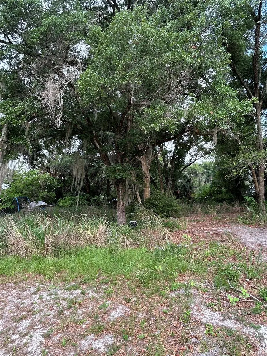 508 Palmetto Street, FL