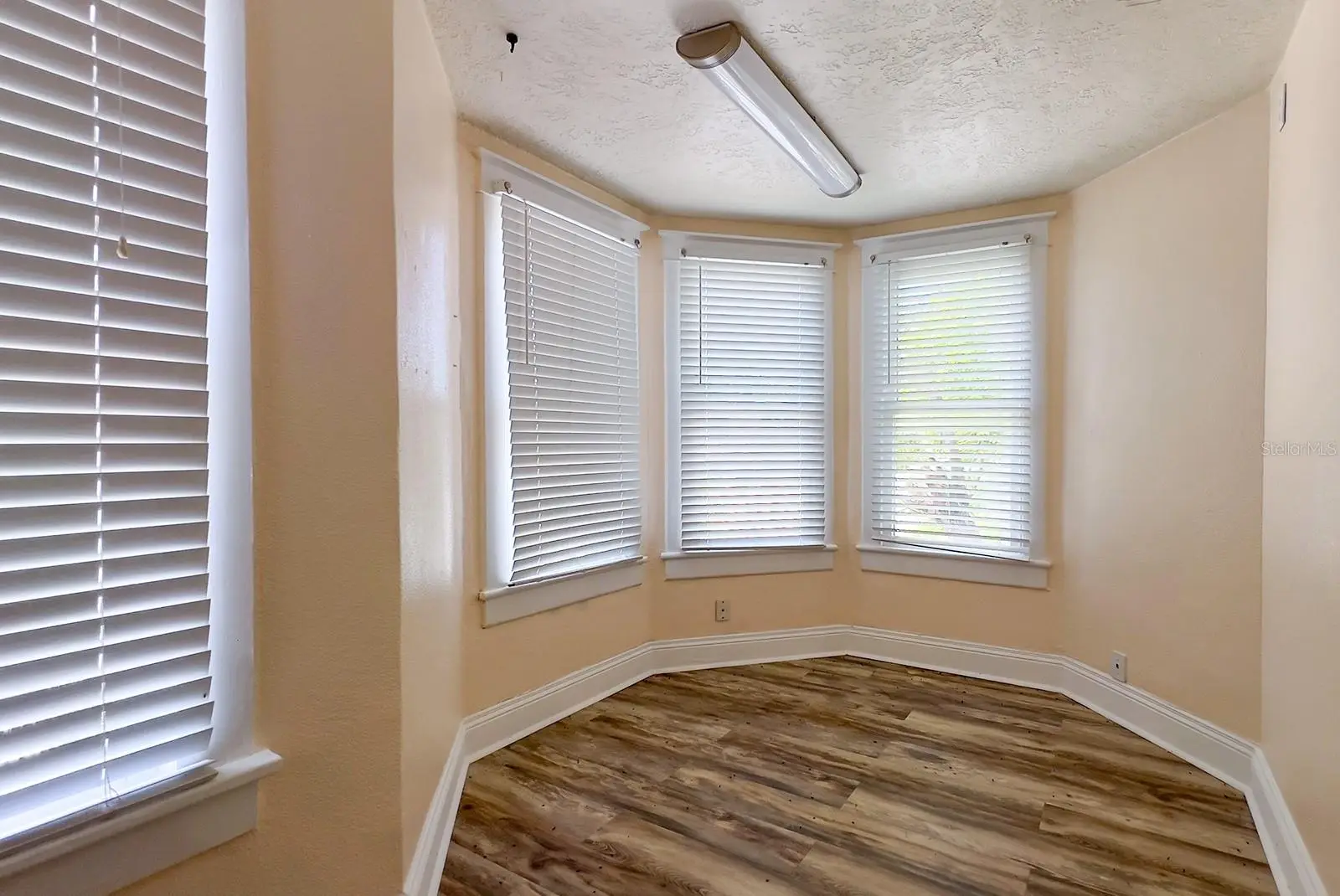 821 Emmett Street, FL