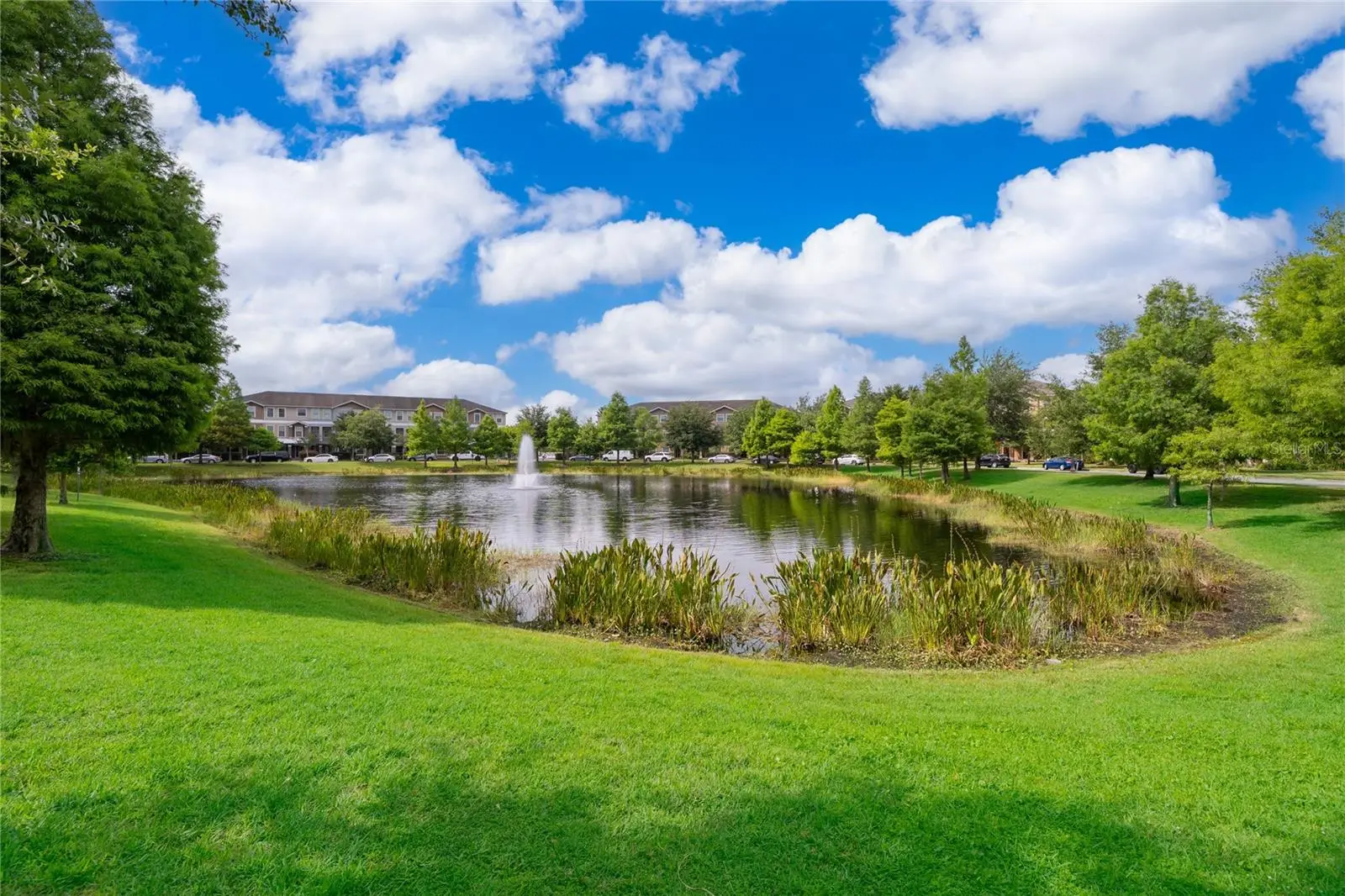 10061 Town Lake Drive, FL