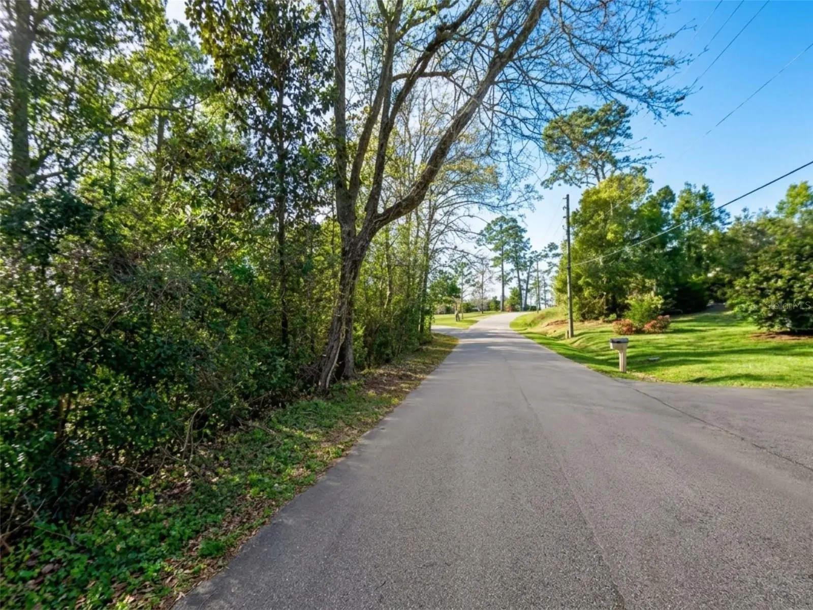 Satsuma Rd, FL