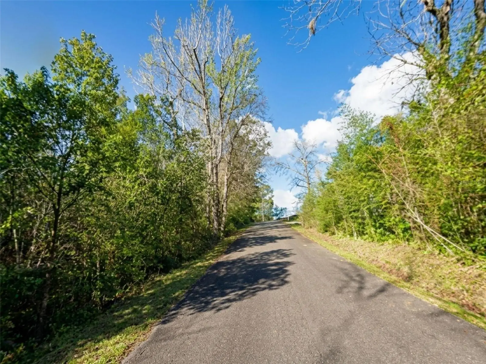 Satsuma Rd, FL